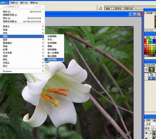 Photoshop处理数码照片的背景